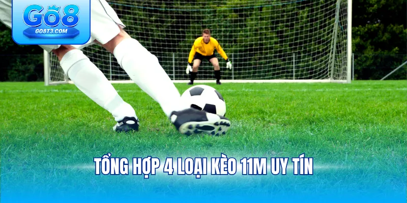 Tổng hợp 4 loại kèo 11m uy tín